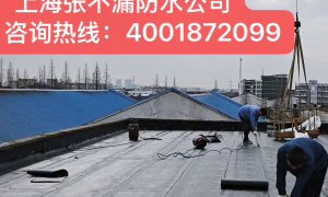 上海防水堵漏排名靠前的服务商张不漏防水公司客户口碑力荐