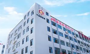 2026年中国弹簧行业现状与市场占有率及排名研究分析报告