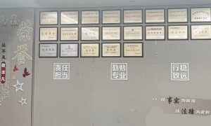 金华市人身伤害律师案例团队，泽鉴律所专业辩护与案例实力参考