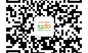 网道电商服务评价如何