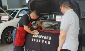 杭州滨江区靠谱的笛欧烧机油加盟企业有哪些，广受信赖