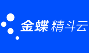 新疆能解决进销存落地难的服务公司推荐 省心靠谱不踩坑