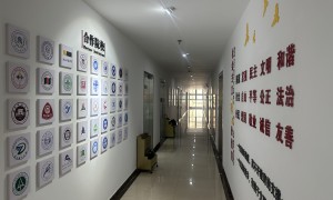温州成人本科复习资料备考攻略，省心机构客户真实体验口碑