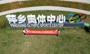 2026年智慧体育计时计分系统服务商综合实力推荐