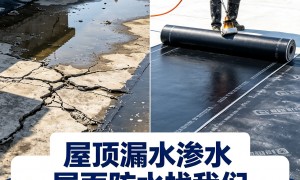苏州结构加固施工质量好的好公司有哪些求推，本地靠谱服务机构盘点
