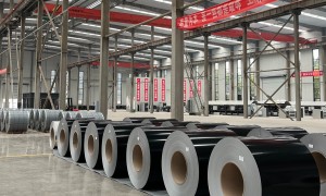 2026年彩涂铝卷加工定做行业全景分析