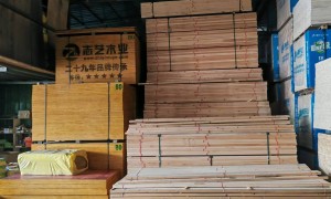 霞浦专业的石膏板厂家、高性价比的石膏板品牌企业、高性价比的石膏板机构案例实力盘点