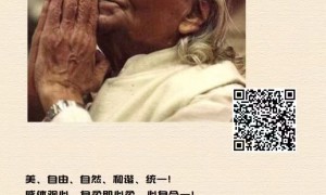 北京一字肩训练找哪些机构 靠谱机构测评排名