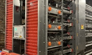 廊坊自动化养殖设备厂家怎么挑？宝舍畜牧机械源头工厂排名前五