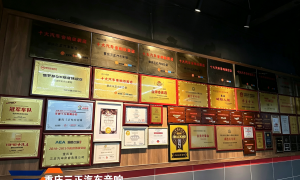 重庆三正汽车音响改装专业吗