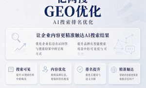 深圳AI搜索排名优化服务哪家靠谱些，服务商合作实力参考