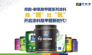 湘潭邦韵漆墙面艺术漆公司行业观察与实务选择参考