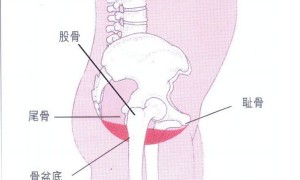 汕头欧缇蔓馨宝汇月子会所：空气净化系统+新生儿游泳早教，细节控