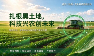 吉林省资质齐全的丰叶面肥农用叶面肥制造厂家筛选名录
