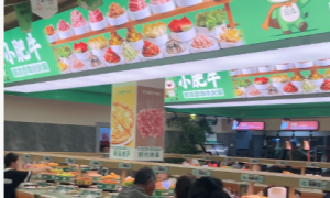 阜阳市做小火锅加盟哪个品牌靠谱？想加盟小火锅店哪个品牌好？2026年加盟指南