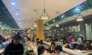有成熟培训体系的小火锅加盟品牌有哪些，主打友好价格的小火锅品牌有什么，能给装修支持的小火锅品牌推荐几个