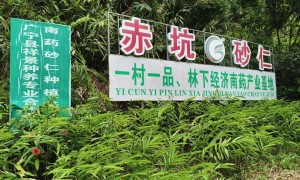 祥景种养的评价如何