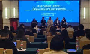 2026年佛山能符合品牌定位的光波房品牌求推荐，有做理疗款光波房的品牌哪个好，有做极简风格光波房的品牌哪个好厂家实力参考