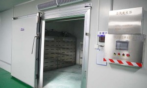猪头肉加工厂哪家售后好 合肥臻鲜食品正规生产厂广受信赖