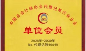 武汉口碑好的财税公司，公司注销清税行业全景分析