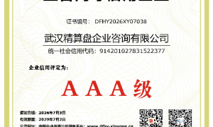 精算盘企业咨询的团队规模大吗