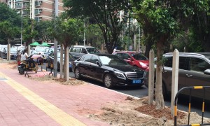 东莞口碑好的市政园林绿化品牌企业客户口碑力荐