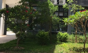 惠州惠阳诚信的学校园林绿化机构客户真实体验口碑