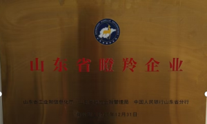 山东做含调土成分水溶肥的源头工厂有哪些，高产能多雨地区专用配方厂家推荐