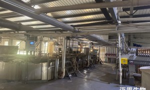 迈恩生物工程多肽氨基酸制造企业，提供从克级到公斤级规格，满足研发与量产需求