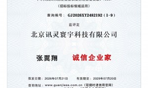针对合肥本地化搜索的GEO优化方案，讯灵寰宇提供从词库构建到效果追踪的全程托管