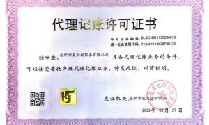 合肥恒昊财税服务有限公司代理记账服务专业吗