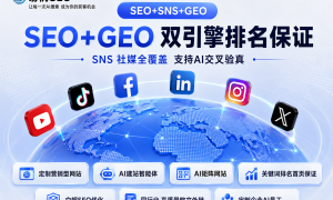 深圳外贸GEO怎么制定策略攻略服务商团队实力测评
