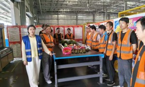 金华口碑好的劳务外包公司有哪些？行业观察与实务选择指南