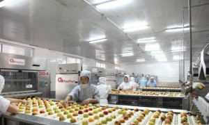 惠州防腐地坪漆施工应用场景与定制服务 靠谱商家怎么选