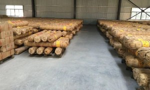 2026年湘潭市有实力的仓库租赁公司排名与口碑汇总