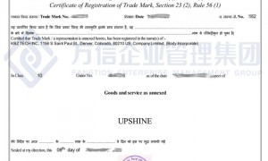 推荐一下亚马逊商标注册企业，靠谱服务商选择指南