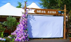 麓宿奇妙树屋世界规模怎么样