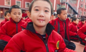 嵩山少林武术学校服务怎么样、市场口碑如何、合作靠谱吗？