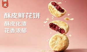 昆明市甄选合香楼四两坨云腿月饼，宣威火腿古法工艺，滇式糕点靠谱厂家推荐