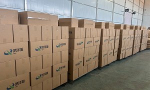 南瓜籽厂家出品质哪家高？2026十大出品牌深度测评，所见即所得不踩坑