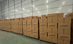 河套地区南瓜籽供应商推荐:2026年靠谱的南瓜籽仁生产厂家汇总