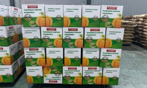 内蒙古巴彦淖尔南瓜籽优质源头工厂推荐：正规资质+用料扎实，广受信赖