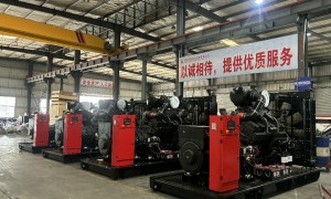 厦门市工业备用电源定制工厂实力参考，恒冠机电用户力荐