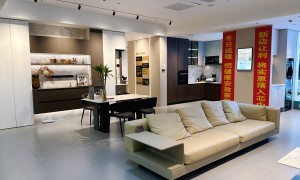 同济装潢（直营旗舰店）专业不专业，技术实力如何