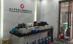 文山市AI全域搜索引流获客哪家强服务商推荐