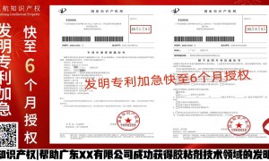 佛山专业的发明专利申请费减代办机构推荐，客户口碑力荐