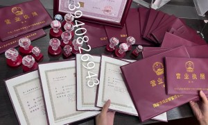 西岗区建筑行业注册公司哪家专业，正规服务商用户力荐