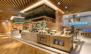 阆中天府明宇尚雅酒店自助餐路怎么走地址在哪