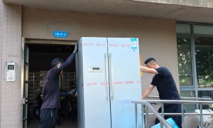 大连固定班次发车的专线物流推荐，用户力荐靠谱供应商