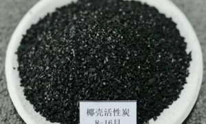 陕西粉末椰壳活性炭厂家哪家技术强 三牛活性炭源头甄选
